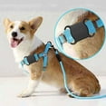 thumbnail image 2 of Hearth & Gear Mini Tracking Device Dog Pet Finder Locator Alarm Key Lost Alarm Accessories for Grooming Accessories Dog Trailer Dog Pannier Rear Accessories For Dog Sports Dog Accessories for Puppies, 2 of 5