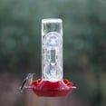 thumbnail image 3 of Perky-Pet Window Mounted 14 oz Glass Hummingbird Feeder, 3 of 4