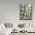 thumbnail image 3 of Trademark Fine Art 'Grace & Maturity' Canvas Art by Carol J Rupp, 3 of 3
