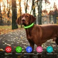 thumbnail image 4 of Collar para perros recargable con luz LED, collar de seguridad impermeable e intermitente con correa impermeable ajustable para perros pequeños/medianos/grandes, súper brillante, verde M, 4 of 5