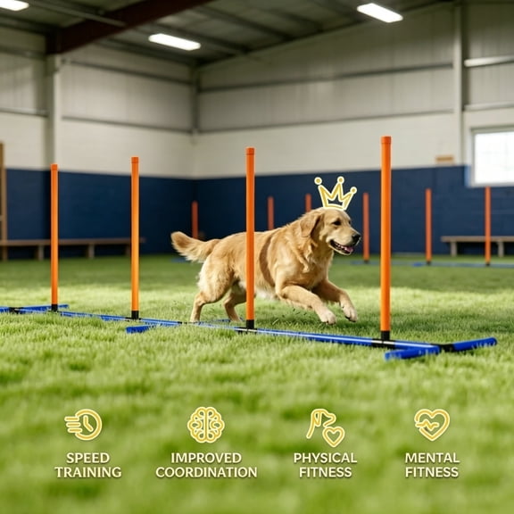Dog Agility Course Backyard Set, Freestanding Agility Jumps with 600D Oxford Carry Bag, Adjustable Difficulty for All Dog Sizes