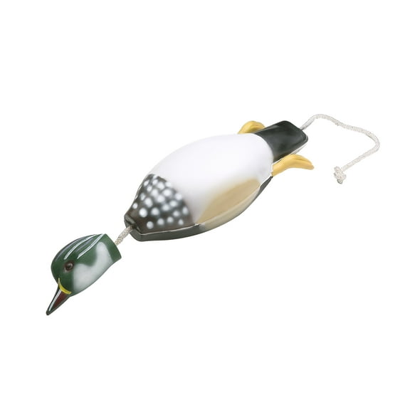 Dokken Wood Duck Dead Fowl