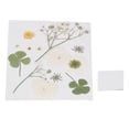 thumbnail image 2 of Flores prensadas secas, marcapáginas de flores artesanales, flores naturales, fundas de teléfono, flores prensadas, especímenes de plantas de flores secas, 2 of 8