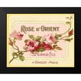 thumbnail image 2 of Vintage Apple Collection 18x15 Black Modern Framed Museum Art Print Titled - Rose D Orient, 2 of 5