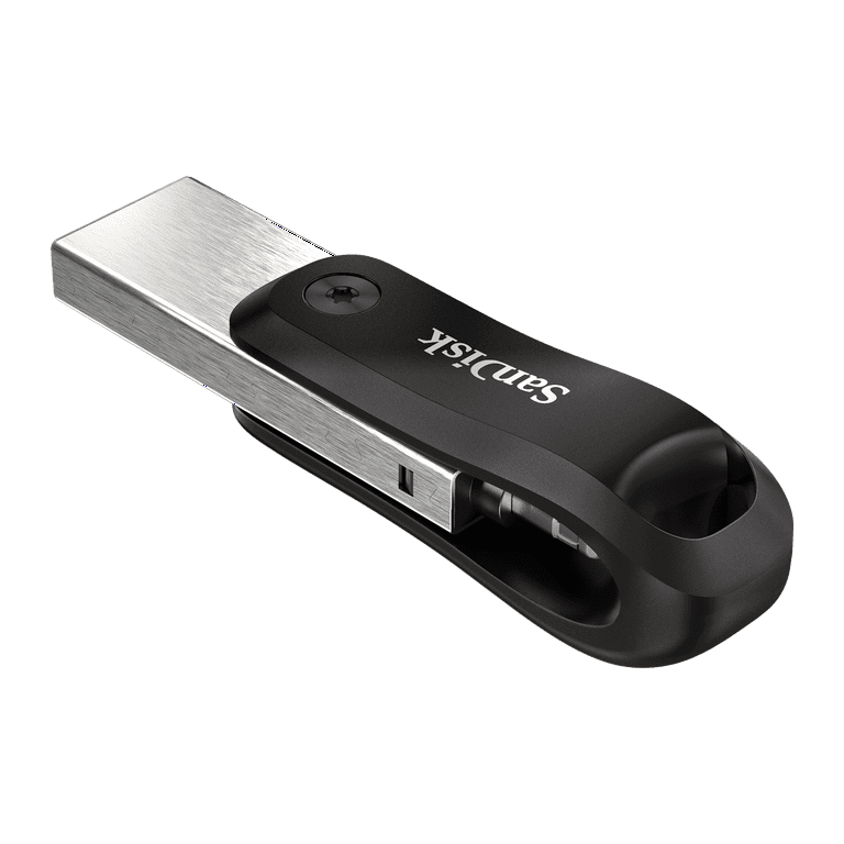  SanDisk 256GB iXpand Flash Drive Go for iPhone and iPad -  SDIX60N-256G-GN6NE, Black : Everything Else