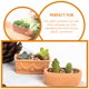 thumbnail image 3 of 3 mini macetas de terracota para cactus, suculentas, vivero, hogar., 3 of 6