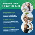 thumbnail image 6 of Probiotic & Prebiotic Capsules | Pre and Probiotics for Synbiotic Gut Health & Bloating Relief for Women & Men | 20 Billion CFU | Vegetarian | 60 Ct., 6 of 12