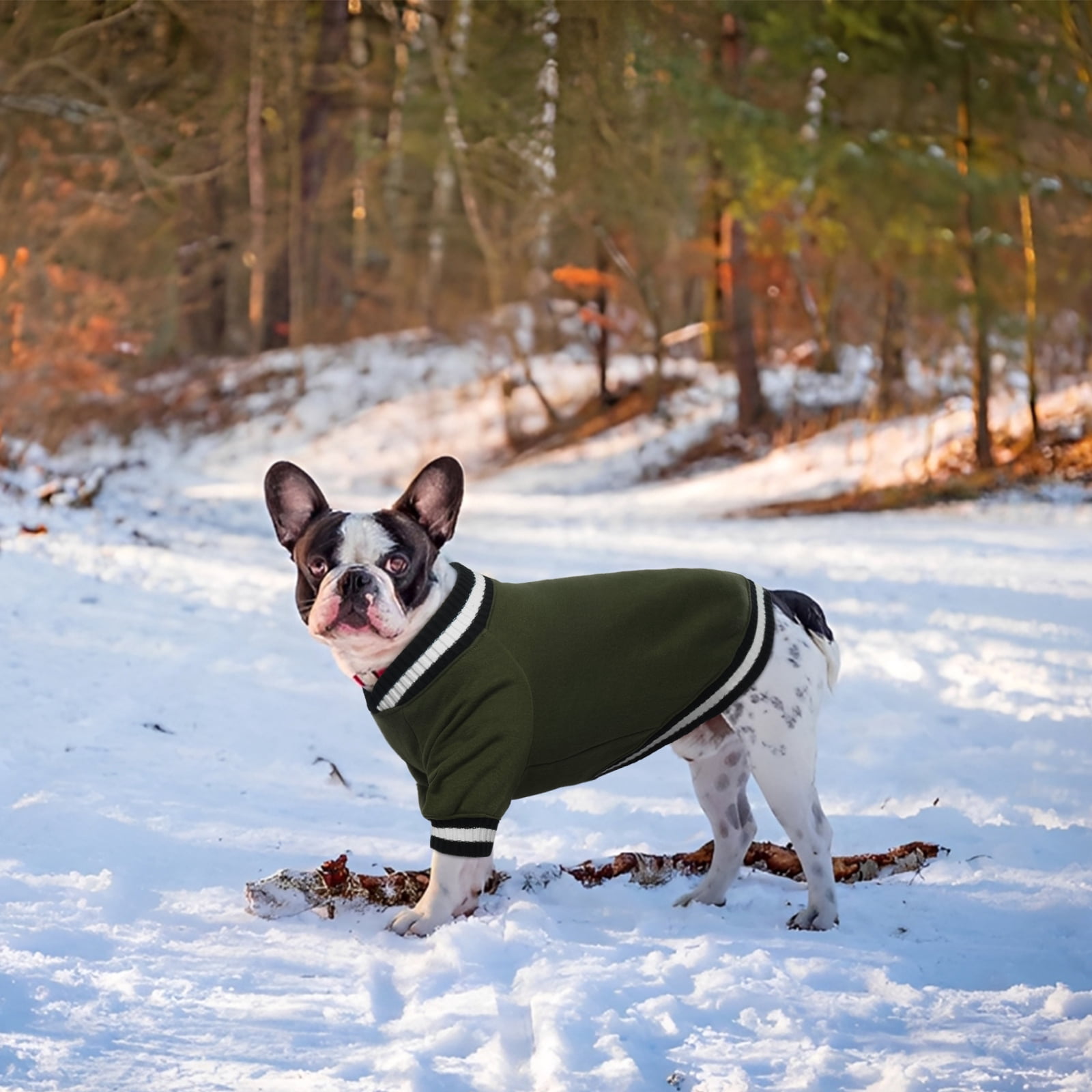 Kuoser Dog Winter Sweater, Cute Pet Pullover Vest, Soft and Thick Sweatshirt for Dogs and Cats, Green, XS