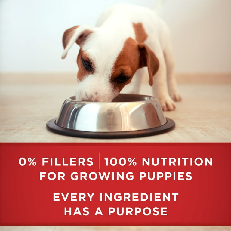 Wet puppy top food walmart