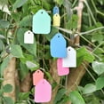 thumbnail image 4 of 5 Sets/500pcs Unique Hanging Tags Plastic Waterproof Hanging Labels with Strap Line for Garden Daily Use (3.6x2.5cm, Mixed Color), 4 of 6