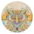 thumbnail image 4 of Sleep Night Light  Painting Decoration Light, Round  Painting Decoration Light  Painting Light, Living Room For Kitchen ZXD028,ZXD033,ZXD038,ZXD044,ZXD054, 4 of 8