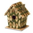 thumbnail image 1 of Eastwind Gifts 37921 Moss Bird House, 1 of 2