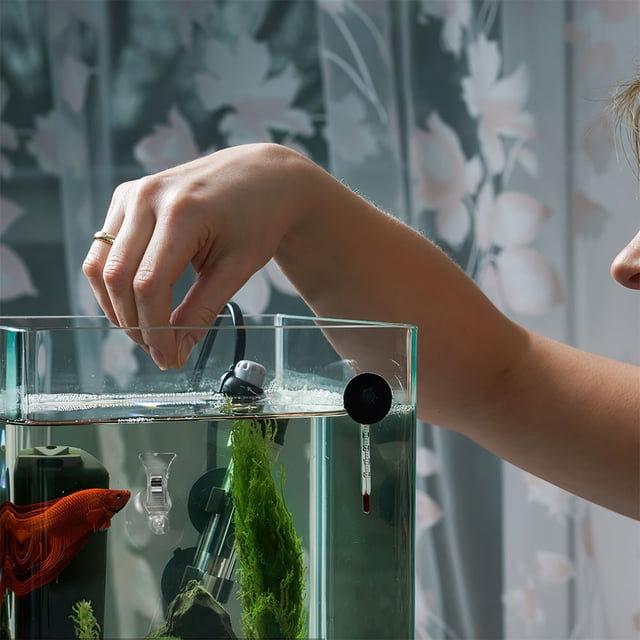 CRILSTYLEO 6Ud Clip Multifuncional Para Acuario Con Ventosa Firme Para Sujeción De Y Verduras