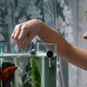 thumbnail image 1 of CRILSTYLEO 6Ud Clip Multifuncional Para Acuario Con Ventosa Firme Para Sujeción De Y Verduras, 1 of 8
