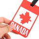 thumbnail image 3 of 2 uds etiqueta de maleta bandera de Canadá equipaje colgante etiqueta de nombre etiqueta de equipaje reutilizable etiqueta de bolsa de viaje, 3 of 6
