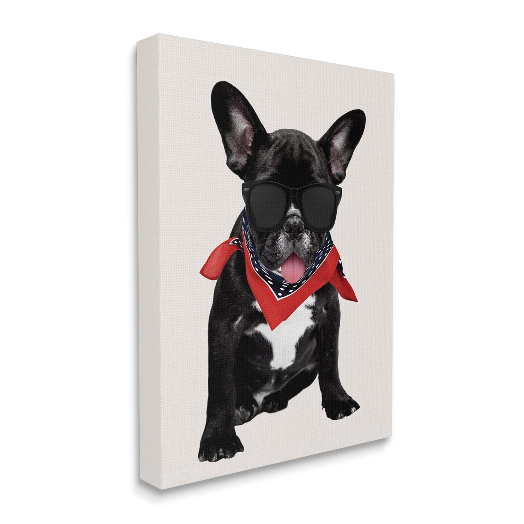 Stupell Cool Dude French Bulldog Pet Animals & Insects Painting Gallery Wrapped Canvas Print Wall Art