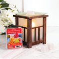 thumbnail image 4 of ScentSationals Scented Wax Cubes - Island Papaya, 4 of 4