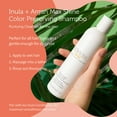 thumbnail image 7 of e.fek.tiv Inula and Argan Color Shampoo, Hair Shampoo, 8 oz, 7 of 7