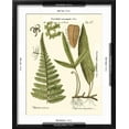 thumbnail image 5 of Art.com Small Antique Fern IV Art Print by Vision Studio, Black Frame Wall Art, 17" x 21", 5 of 5