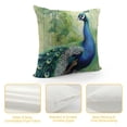 thumbnail image 4 of Orinice Peacock Feathers Graphic Decorative Cushion Throw Pillow Cover for Home Couch Living Room Sofa Men Women Boy Girl Aesthetic Decorative 1PC 20x20in, 4 of 5