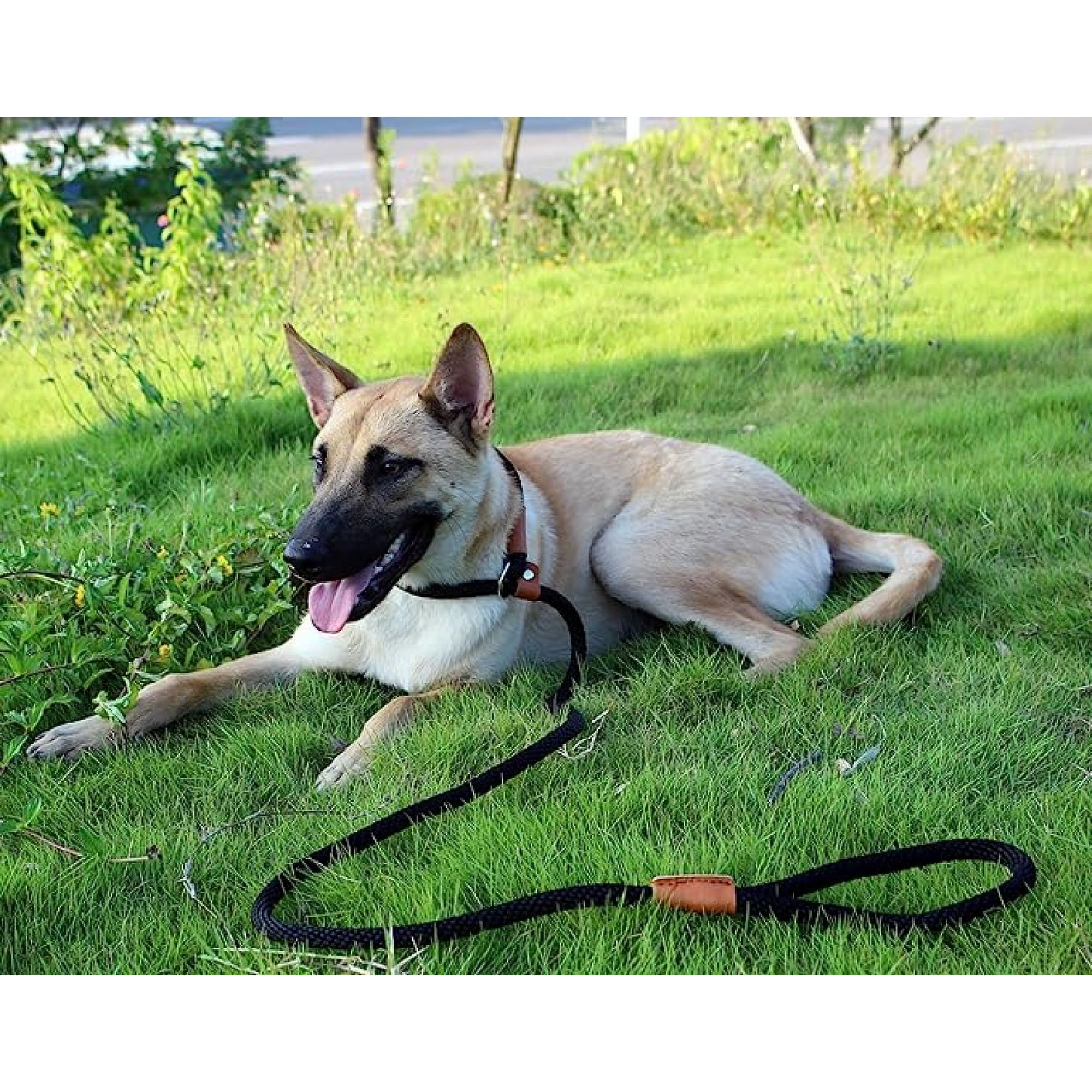 Dog leash Leash Strong Heavy Duty Braided Dog Training Leash No Pull Training Lead Leashes for Medium Large Dogs Black R074 Walmart