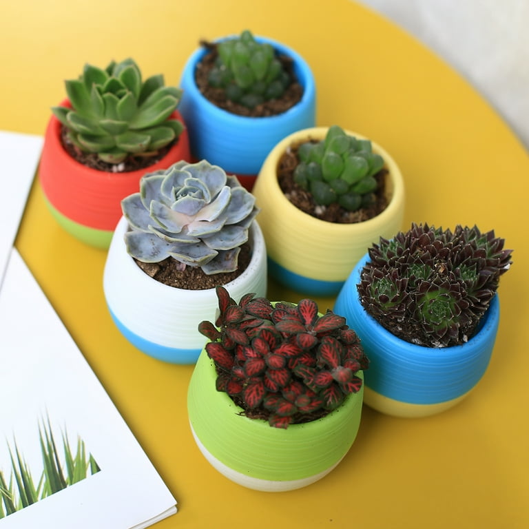15 Pack Succulent Planter Pots 3 inches with Water Drainage Saucers for Window Plants Decoration 15 Pack Succulent Planter Pots 3 inches with Water Drainage Saucers for Window Plants Decoration