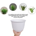 thumbnail image 3 of Home Balcony Plastic Drainage Holes Flower Plant Pot Tray Holder Container White, 3 of 6