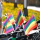 thumbnail image 5 of Whaline 60 pack Rainbow Stick Banderas, Orgullo Gay Pequeñas Mini Banderas Transgénero Asexual Bisexual Pansexual Lesbianas Banderas Lgbt Parade Decoraciones (10 Afortunado Sencillez, 5 of 5