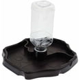 thumbnail image 5 of Dispensador de agua portátil con bebedero de plástico para reptil tortuga Gecko, 5 of 5