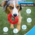 thumbnail image 4 of Puppy Chew Toy for Medium and Large Breed, 4 of 5