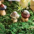 thumbnail image 4 of POINTERTECK Moss Grass Decora Simulation Fake Natural Landscape Accessories Home Decorative, 4 of 10