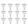 thumbnail image 1 of 65-Watt Equivalent BR40 Dimmable CEC Title 24 Compliant LED Light Bulb Soft White (12-Pack), 1 of 6