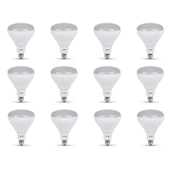 65-Watt Equivalent BR40 Dimmable CEC Title 24 Compliant LED Light Bulb Soft White (12-Pack)