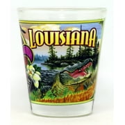 Louisiana State Mural Shot Glass