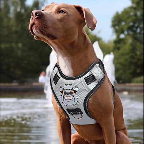 Babyltrl Silver Big Dog Harness No Pull Anti Tear Adjustable Pet Harness Reflective Oxford Material Soft Vest For Medium Large Dogs Easy Control Harness M Silver Walmart Com Walmart Com