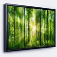 thumbnail image 1 of Designart - Forêt avec Rayons de Soleil Panorama - Impression d'Art Paysager sur Toile Encadrée, 1 of 4