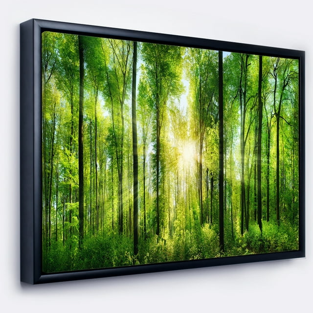 Designart - Forêt avec Rayons de Soleil Panorama - Impression d'Art Paysager sur Toile Encadrée