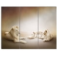 thumbnail image 3 of Design Art - White Lion Family, 3 of 4