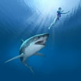 thumbnail image 2 of Shark Attack 3D Render Wall Mural by Wallmonkeys Peel and Stick Graphic (48 in H x 48 in W) WM85298, 2 of 4