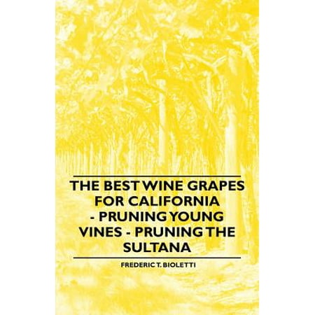 The Best Wine Grapes for California - Pruning Young Vines - Pruning the (Best Year For Red Wine California)