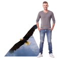 thumbnail image 4 of Advanced Graphics 5183 37 x 45 in. American Eagle Life-Size Cardboard Cutout, 4 of 5