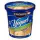 Chapman's Yogourt glacé érable et noix 2L – image 1 sur 10