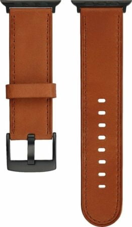 platinum apple watch band 42mm