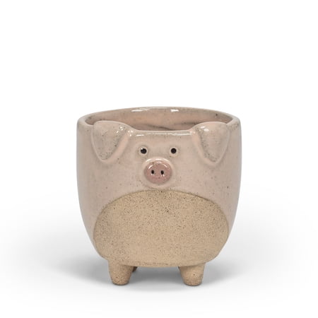 Set of 1 Small Pig on Legs Planter