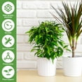 thumbnail image 3 of CNKOO 5Pcs Plant Support Plastic and Imitate Garden Stakes with Cable Ties, 3 of 8