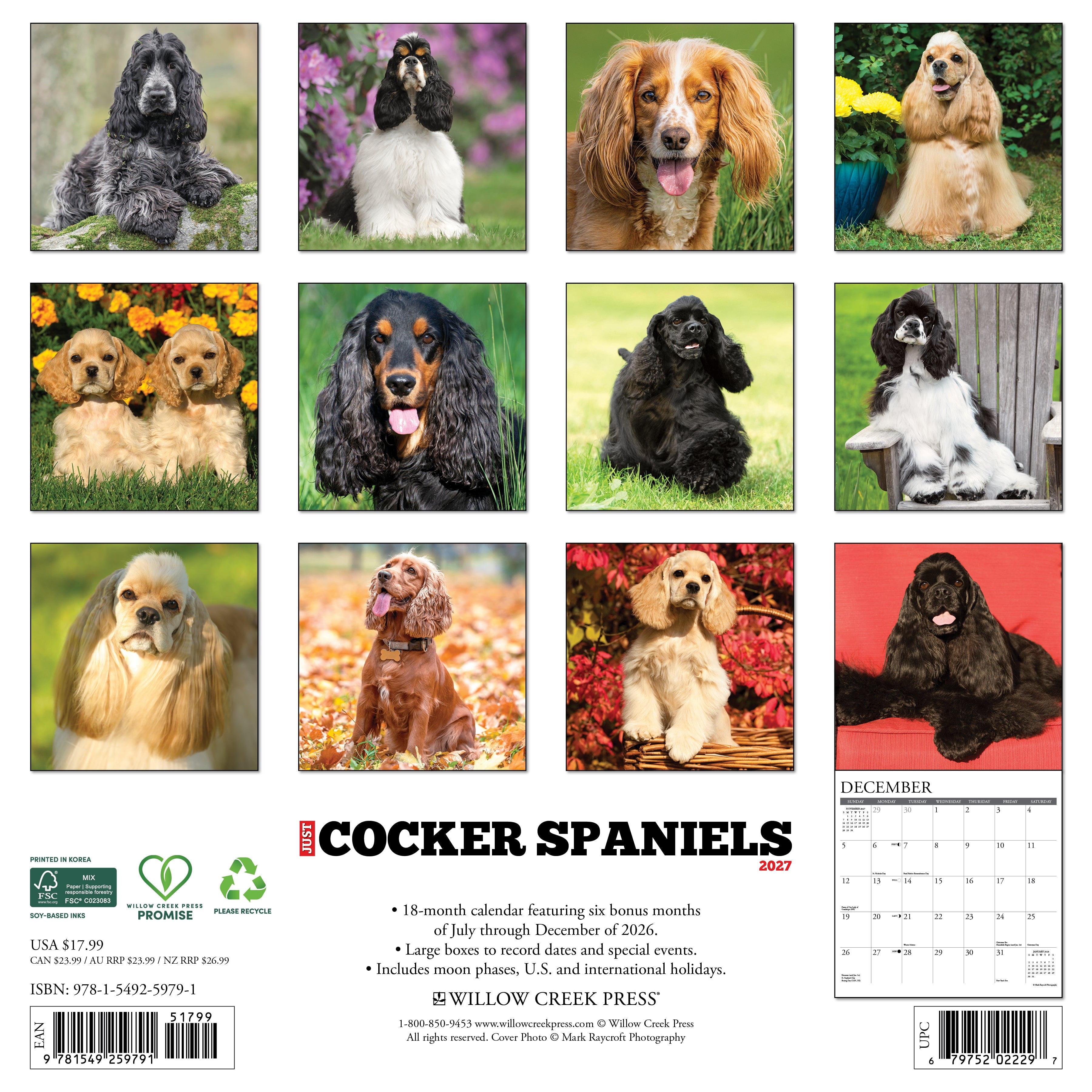 Willow Creek Press, Cocker Spaniels 2027 Wall Calendar