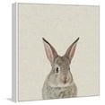 thumbnail image 1 of MARMONT HILL  - Handmade Bunny Surprise Floater Framed Print on Canvas 24 x 24, 1 of 5