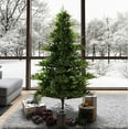 thumbnail image 3 of Vickerman  9 ft. x 81 in. Green Sherwood Fir Artificial Pre-Lit Christmas Tree with 1450 LED Color Changing - 3 mm, 3 of 10