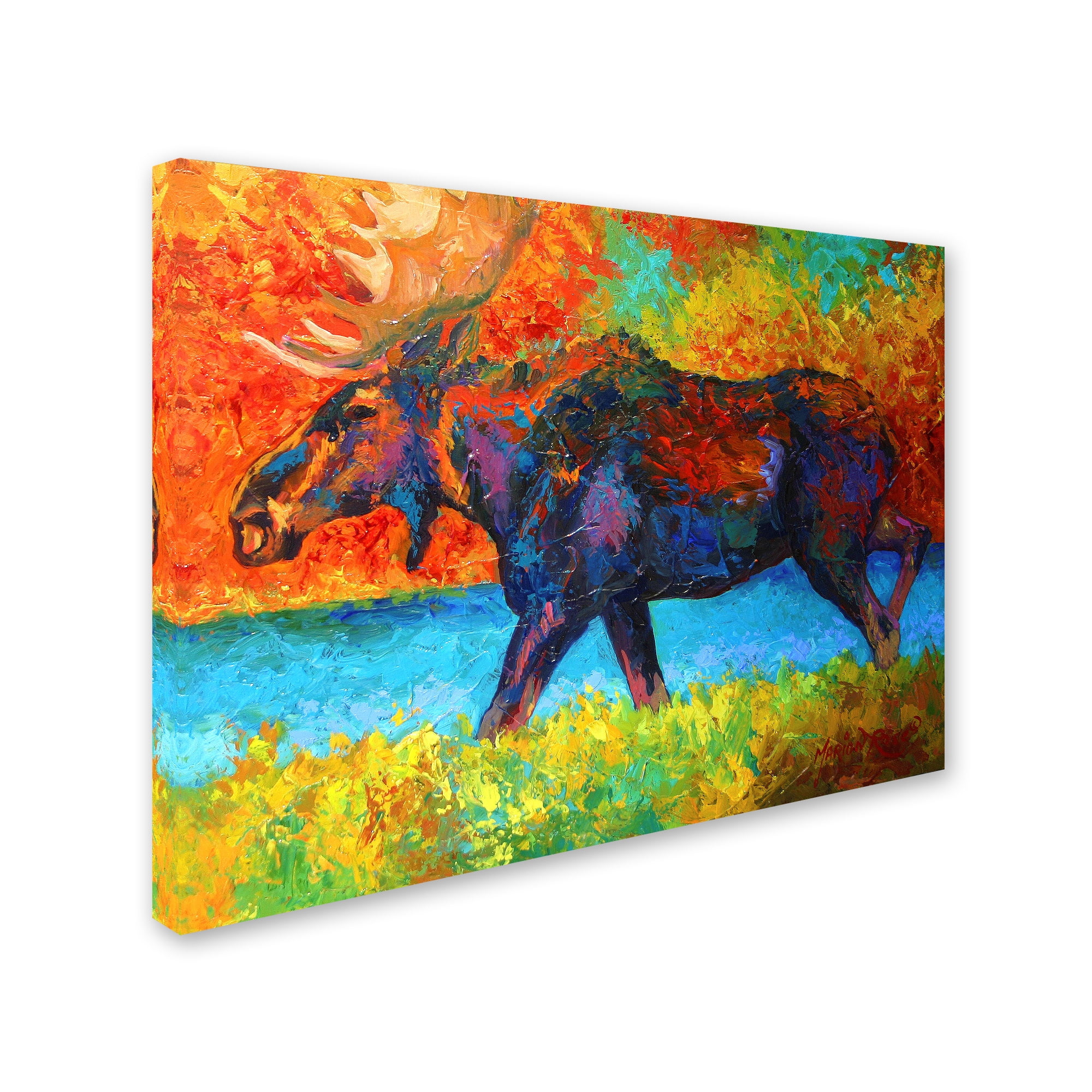Trademark Fine Art 'Moose III 1' Canvas Art by Marion Rose
