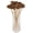 Natural, variant on Vickerman Natural Botanicals 1.3"-1.75" Cedar Rose, Natural on Stem. Includes 50 pieces per polybag.